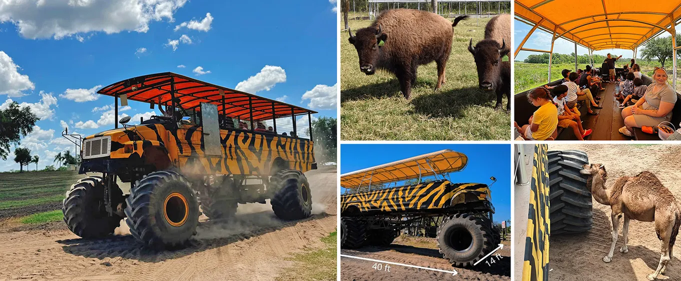 Monster Truck Adventure