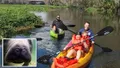 Awa Kayak Blue Springs Tour  Photo