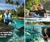 A family is enjoying an interactive experience with a dolphin at Discovery Cove accompanied by a quote expressing their enjoyment