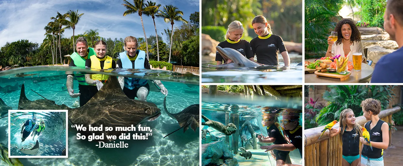 Discovery Cove 