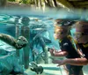 A family is enjoying an interactive experience with a dolphin at Discovery Cove accompanied by a quote expressing their enjoyment
