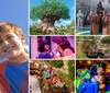 Walt Disney World Theme Parks Collage