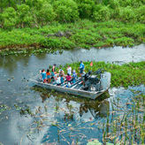 Boggy Creek Daytime 1/2 Hour Airboat Ride