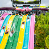 Aquatica Single Day Ticket 