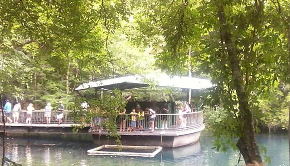 People gather on a dock by a glass-bottomed boat surrounded by lush greenery and clear water