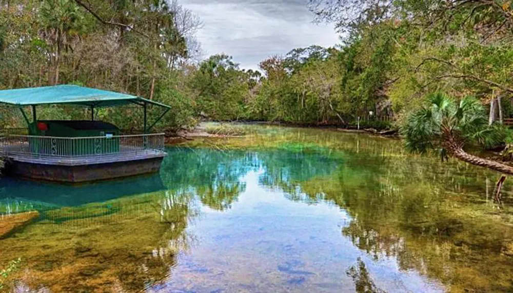 A serene natural spring surrounded by lush foliage features a dock with a covered viewing platform