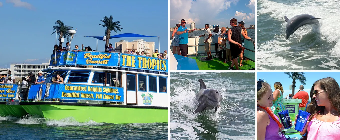 Dolphin Encounter Tour