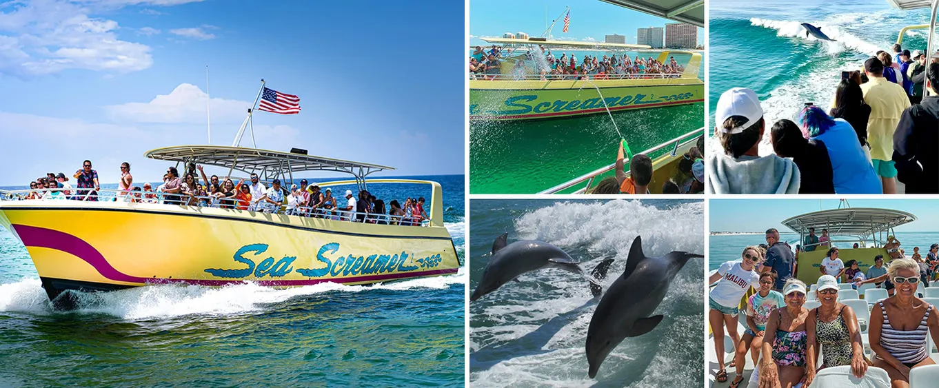 Clearwater Beach Day Trip with Sea Screamer Speedboat 