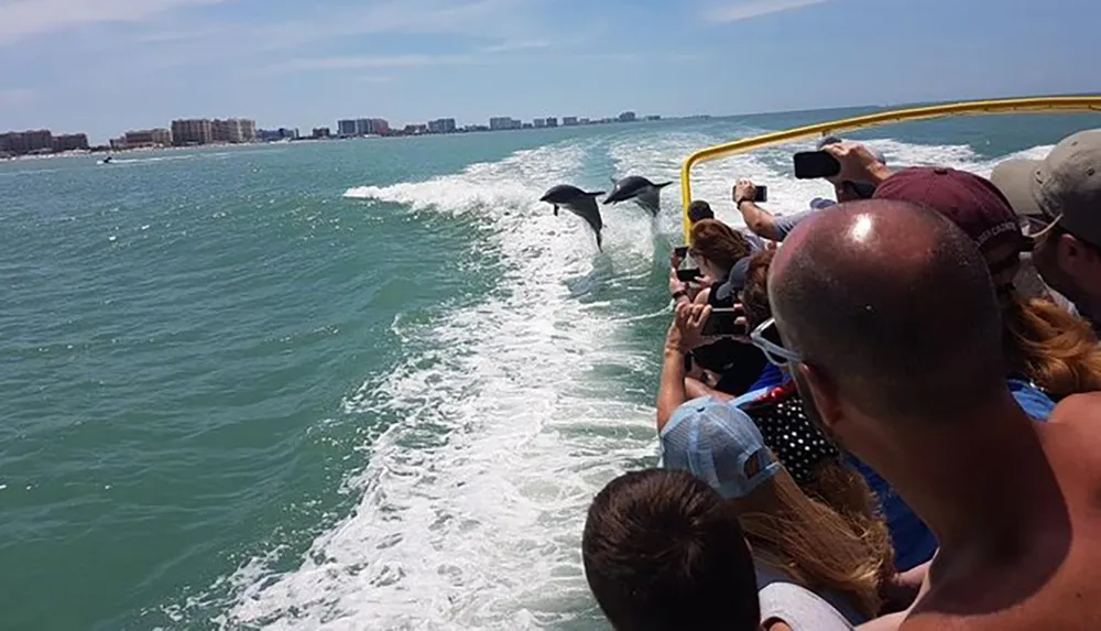 Passengers on a boat are watching and photographing dolphins jumping out of the water near the coast