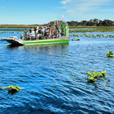 90-Minute Airboat  Eco Safari Tour