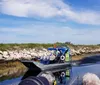 Experience Orlando Airboat Eco Tours