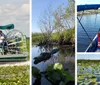 Experience Orlando Airboat Eco Tours