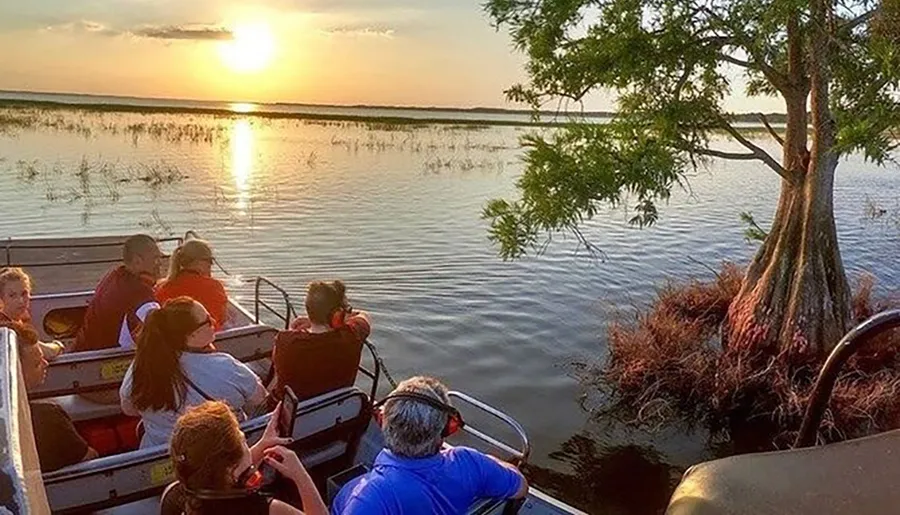 A group of people are enjoying a scenic sunset boat tour on a calm body of water with a beautifully silhouetted tree to the side.