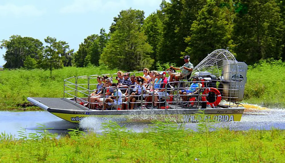 A group of tourists is enjoying a ride on an airboat in a lush wetland environment