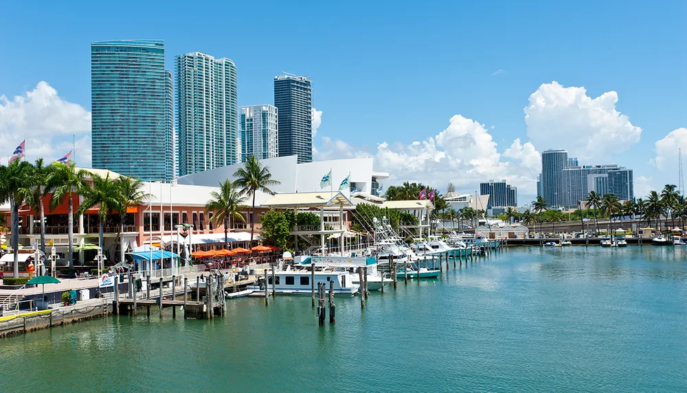 The image shows a vibrant waterfront area with boats docked in a marina palm trees and modern skyscrapers in the background under a clear blue sky