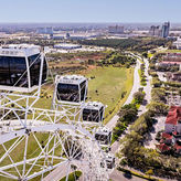 The Orlando Eye (T)