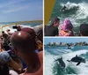 A large group of people are enjoying a ride on a vibrant yellow boat named Sea Screamer as it speeds across the water