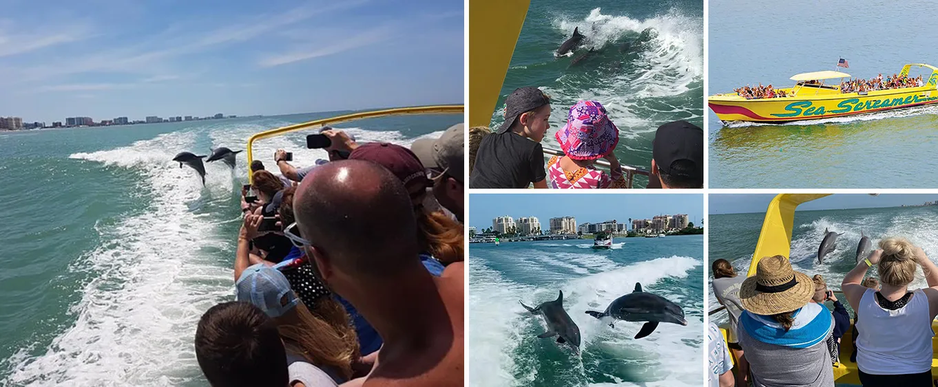 Sea Screamer Boat Cruise in Clearwater Beach with Transport