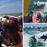 Sea Screamer Boat Tour & Lunch