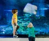 Two children are at an aquarium observing and photographing marine life including a close-up view of a stingray gliding past them