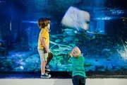 Two children are at an aquarium observing and photographing marine life, including a close-up view of a stingray gliding past them.