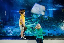 Popular Aquariums & Zoos