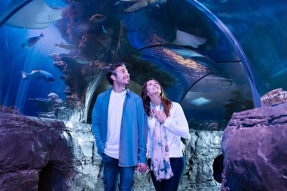 A man and woman are smiling and looking upwards while standing in an underwater tunnel at an aquarium surrounded by various fish and marine life