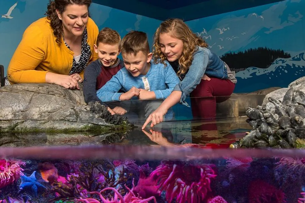 A woman and three children appear fascinated as they interact with a touch tank exhibit at an aquarium