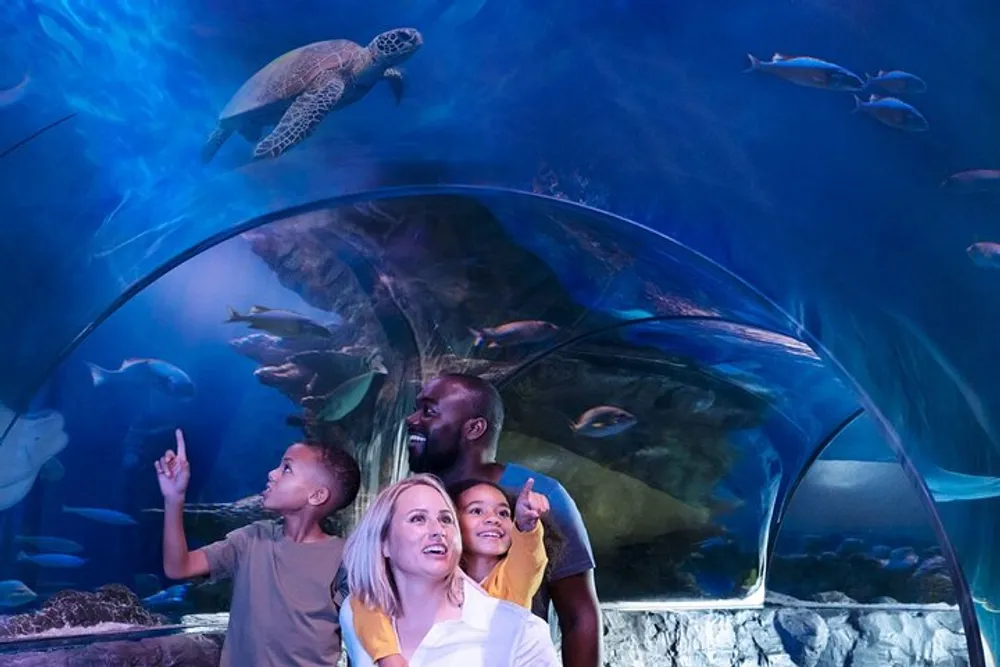 A family is smiling and looking at marine life through a glass tunnel at an aquarium with a sea turtle swimming overhead and fish surrounding them