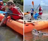 A manatee is visible near the surface of the water by two kayaks