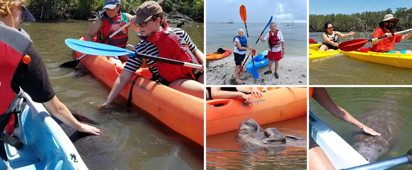 Manatee Kayaking Tour Along Florida's Indian River