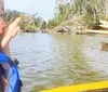 A manatee is visible near the surface of the water by two kayaks