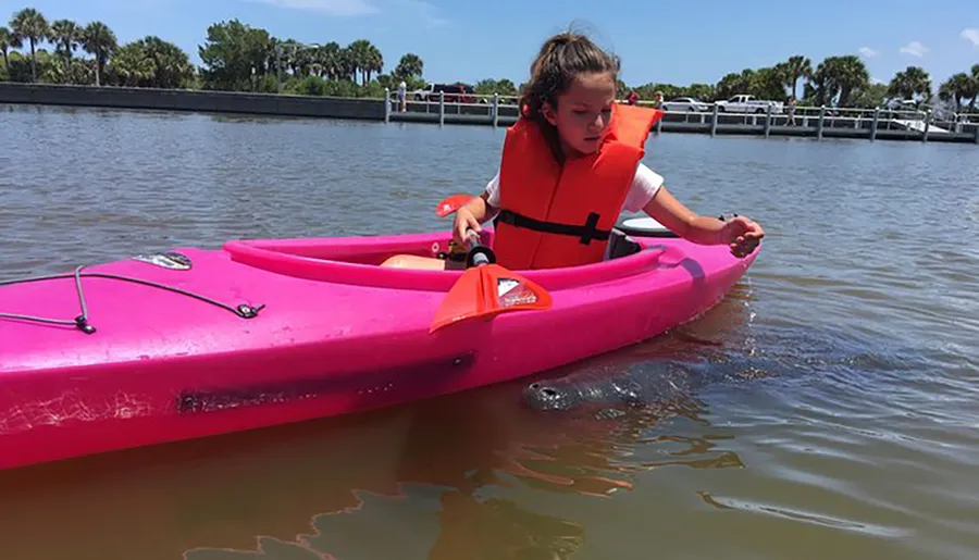 A child wearing a life jacket is kayaking in calm water and appears to be reaching out toward a manatee swimming near the kayak.