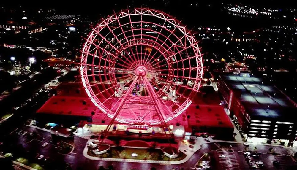 The image shows a vibrant illuminated Ferris wheel at night providing a striking focal point in an urban landscape