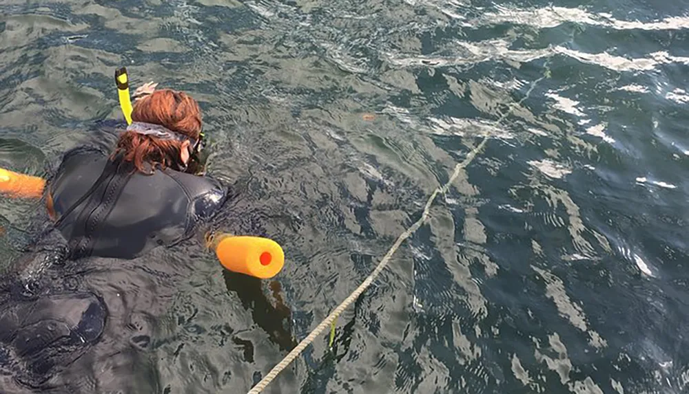 A person in a wetsuit is snorkeling in the ocean tethered to a bright yellow flotation device