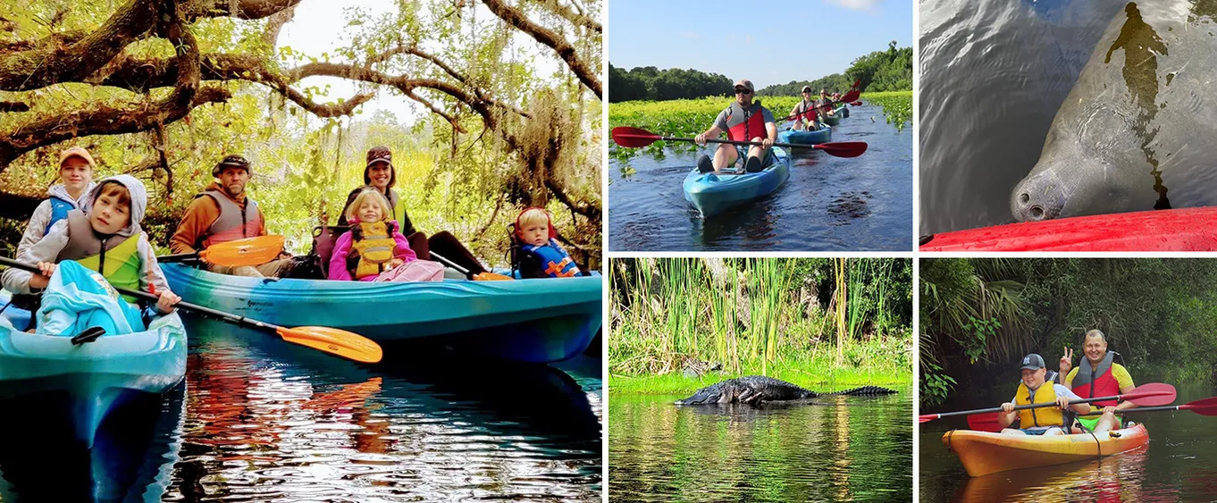 Wekiva River Kayak Tour