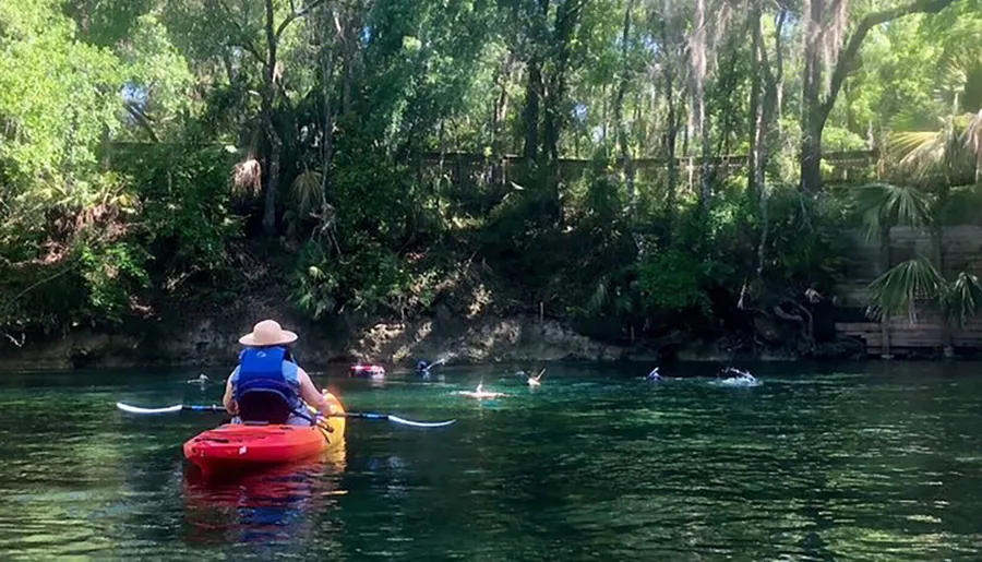 A person wearing a wide-brimmed hat paddles in a red kayak on calm, clear water with other swimmers and kayakers enjoying a sunny day amidst lush greenery.