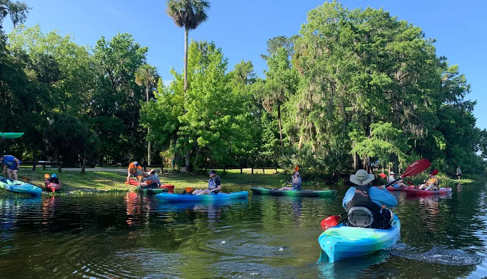 A group of people enjoy kayaking on a calm river surrounded by lush greenery on a sunny day