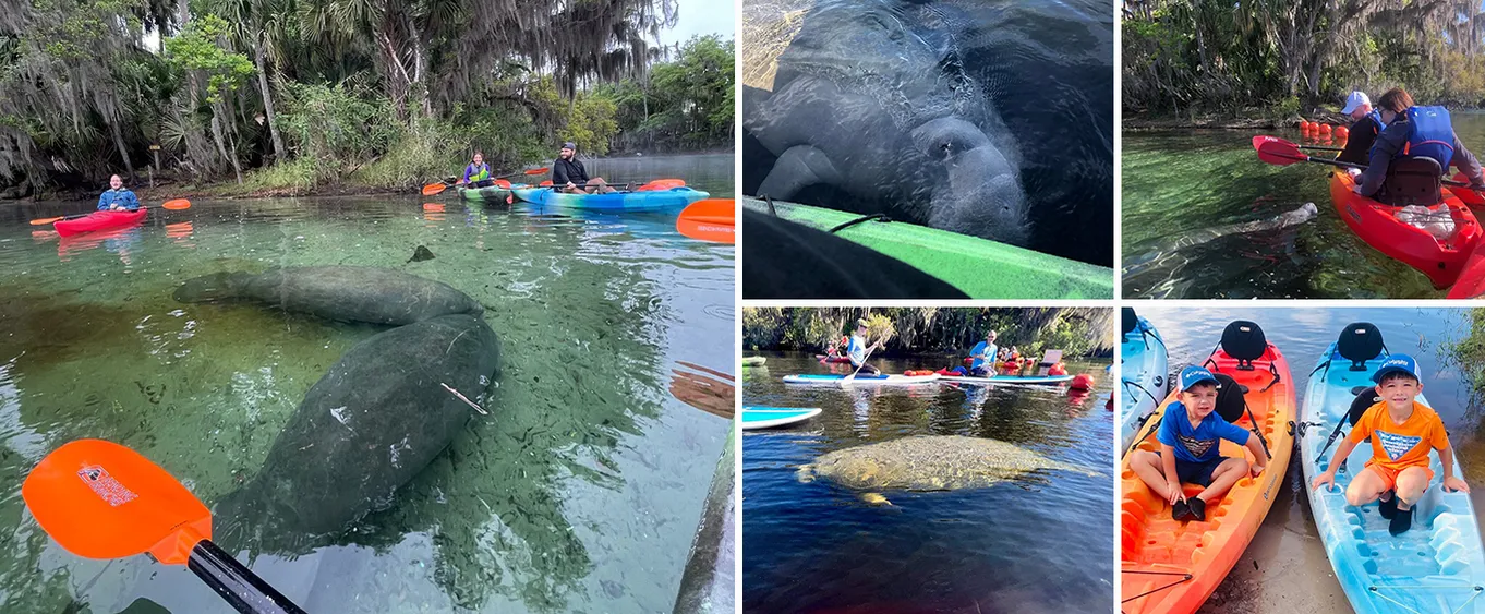 Manatee Kayak Tour at Blue Springs State Park