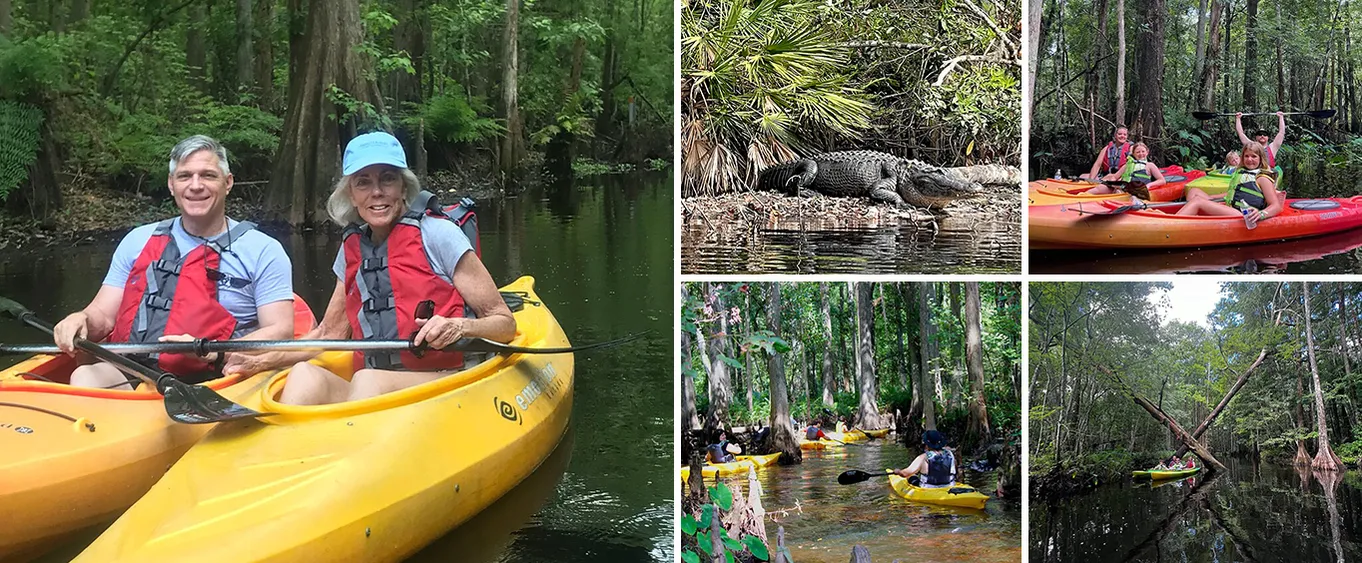 2-Hour Cypress Forest Guided Kayak Tour