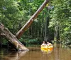 Two people are smiling while kayaking together on a calm river surrounded by greenery