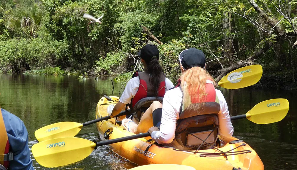 Three people in a tandem kayak are paddling down a serene forest river as a bird flies over them