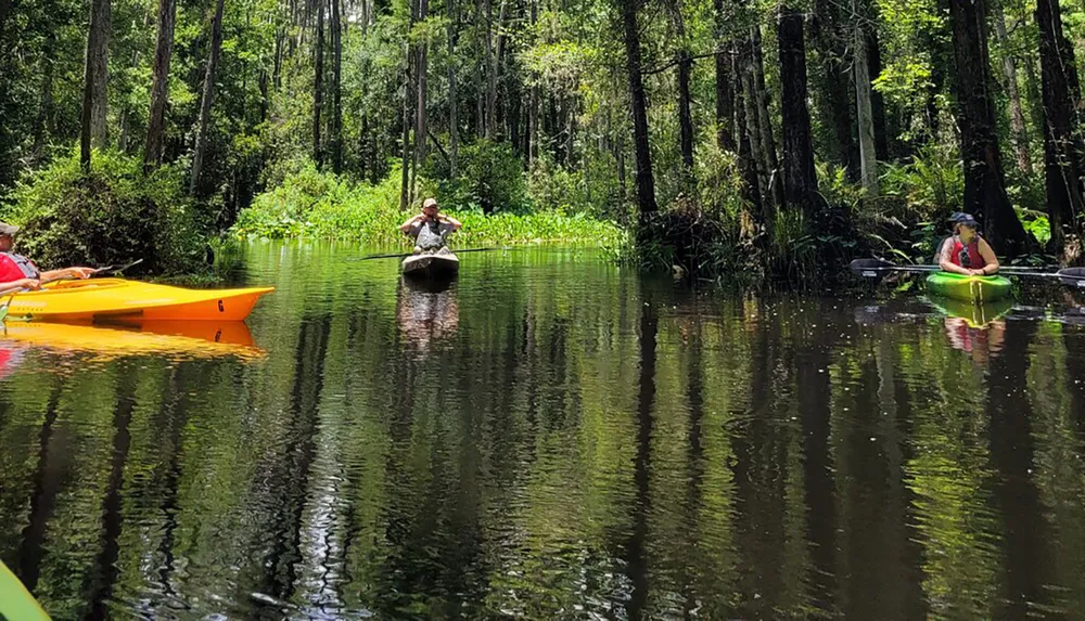 The image shows a group of individuals leisurely kayaking through a calm reflective waterway surrounded by lush greenery in what appears to be a forested wetland area