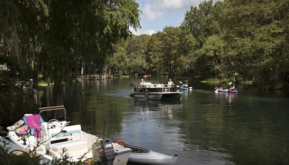 People are enjoying various water activities on a serene river flanked by lush trees under a partly cloudy sky