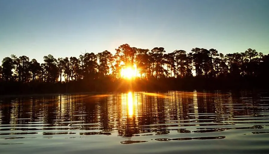The image shows a serene sunset with the golden sun dipping below the silhouette of a tree line, reflecting on the calm waters of a lake or river.