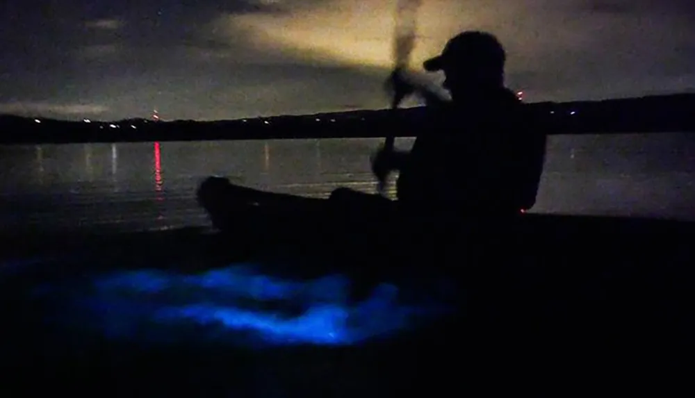 A person is kayaking at night on water illuminated by bioluminescence
