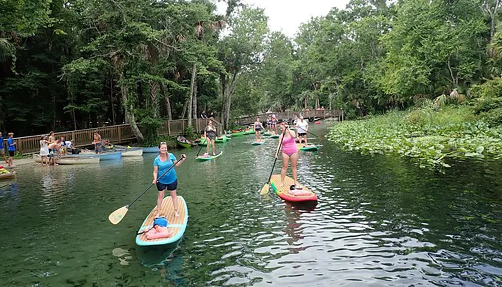 People are enjoying stand-up paddleboarding in a clear tranquil river surrounded by lush greenery
