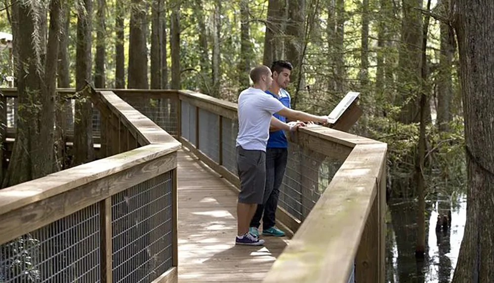 Two individuals are standing on a wooden walkway in a forested wetland area reading an informational sign