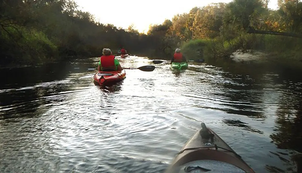 A group of people are kayaking on a serene river surrounded by lush greenery in the early morning or late afternoon light