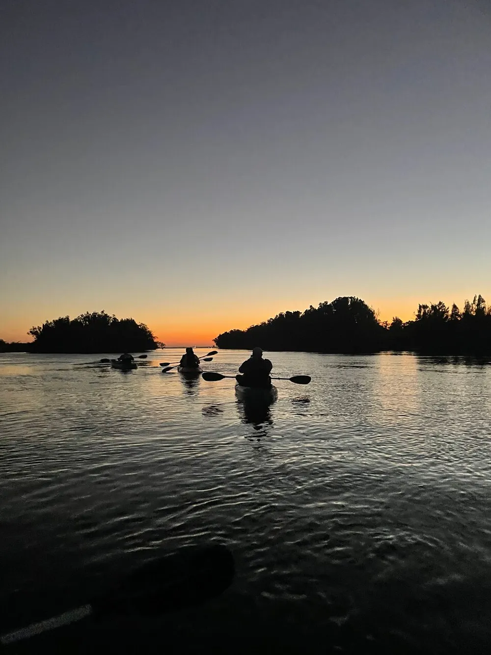 A group of kayakers paddles on calm water under a twilight sky